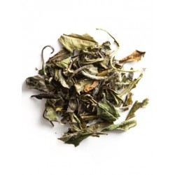 Bai Mu Dan