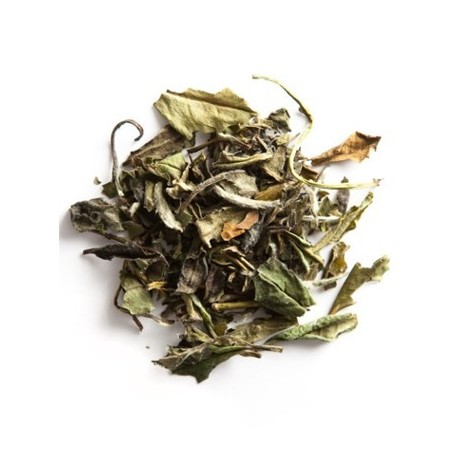 Bai Mu Dan